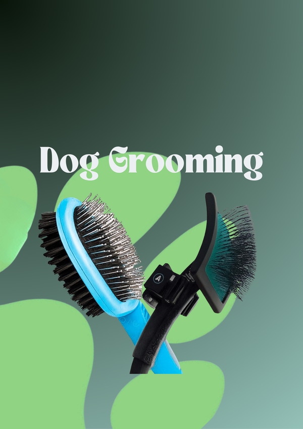 Dog Grooming