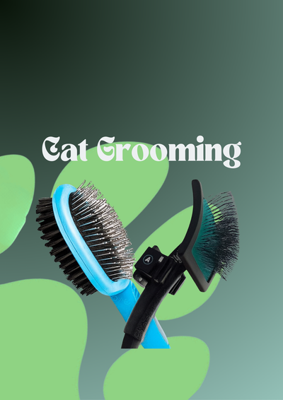 Cat Grooming