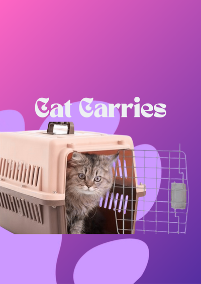 Cat Carries
