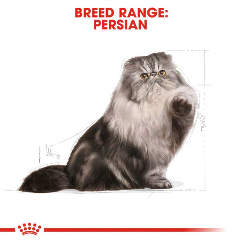 Royal Canin Persian Adult Dry Food – (1+ Year Old)