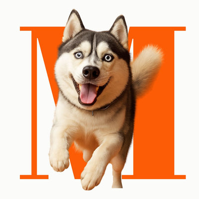 Dogs