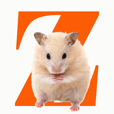 Hamster